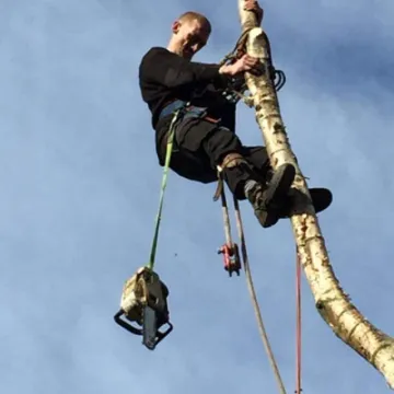 FB IMG 1636743089153