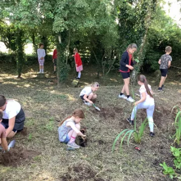 ED3DD069-0D98-469C-87E8-BBAFBC2D2AEA