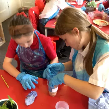 F1886E54-0B46-461F-BD7B-62B69D39D26B