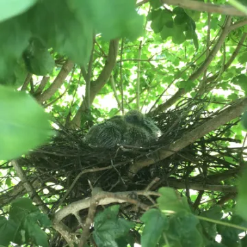 637626BA-2008-414B-AF14-254A701522AD