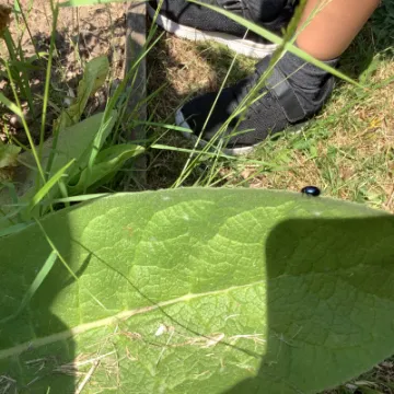 8DF6C370-ED52-4550-8917-9955F7A493AC