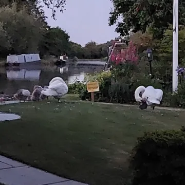 Flower Club Firs Garden June 2023 RG 20230614_222149