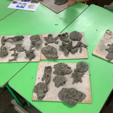 5F5CE3FF-1B55-4A5E-AD28-E5A5233181BD