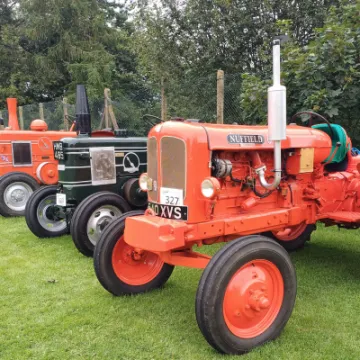 Helen Mayrick – TP Festival