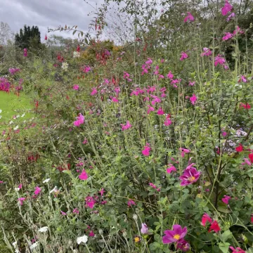 72E416E6-DEE2-4F23-94AF-19E1FAFAD135