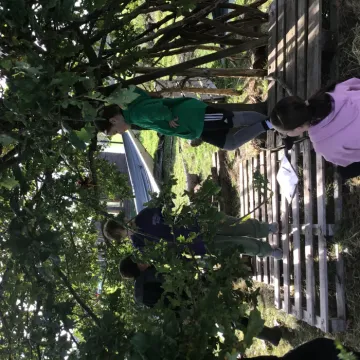 EAC655D9-8D6E-46EB-B370-769DF1E830A4