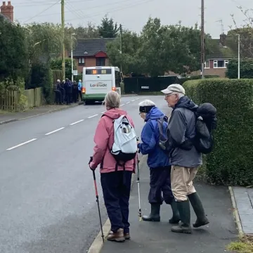 bus