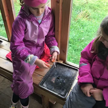 Y3 10-11-23 Forest school 2