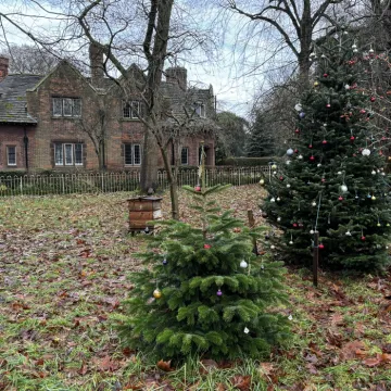 xmas trees