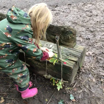 FS