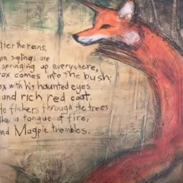 Fox image Y3 English