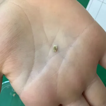Science