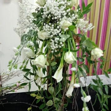 Tarvin Flower Club &ndash; Img20240313214241