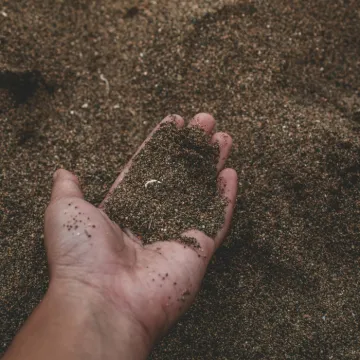 Close-Up Photo of Person Holding Sand