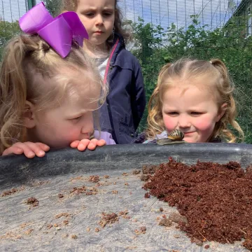 19.4