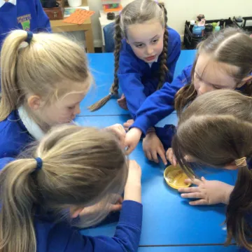 39ba1d47-8fef-428a-887b-061adac98846