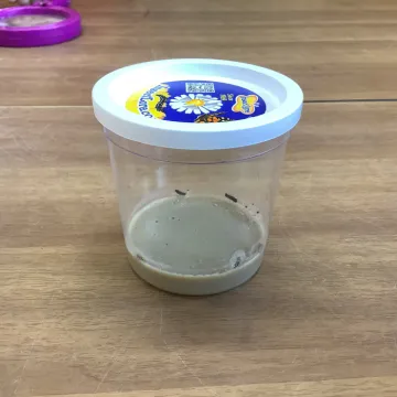 Shape and Pattern 100