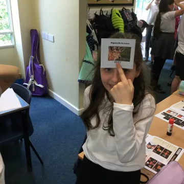 B8d6d253-B1d8-4ef3-A7ed-9883227d2620