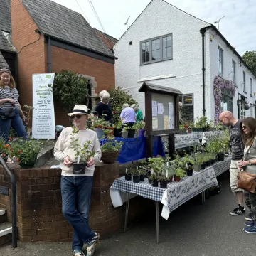 Plant Sale 6