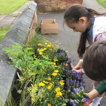 planter3