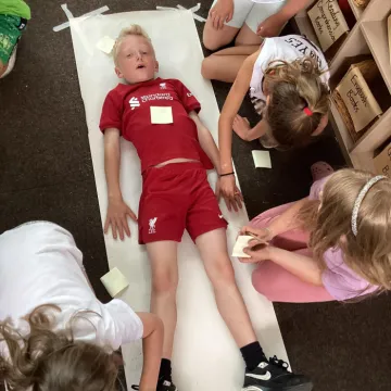 Y3 Science Human body