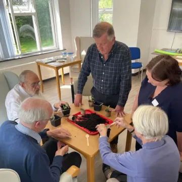 Day Care Potting Plants