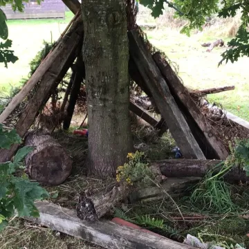 Forest School 1