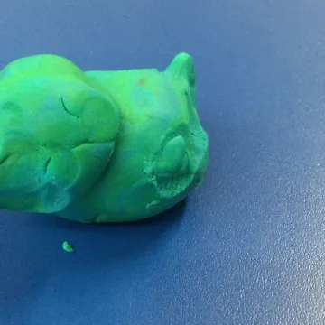 Ducks
