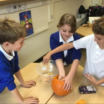 Y3 Pumpkins