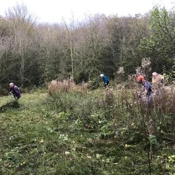 Disused railway line management