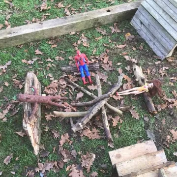 Forest school