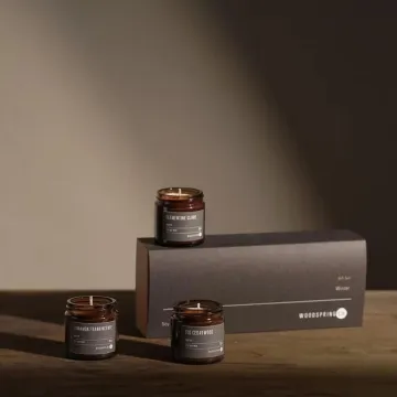 Woodspring Winter Trio