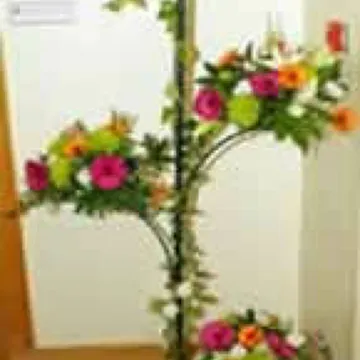 Floral Display Depicting Cotto