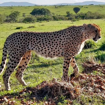 20230102_080104_resized