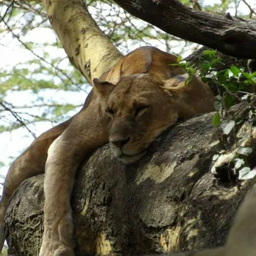 Fb_img_1634819088209