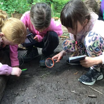 PGL 13