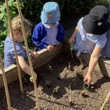 Gardening