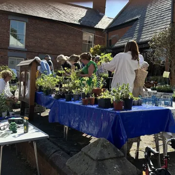 Tarvin Plant Sale 2025 5