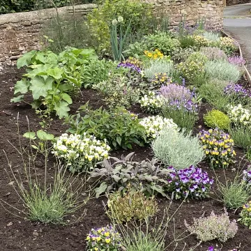 Church st planting June 25