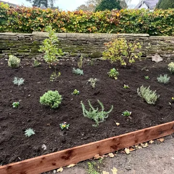 church St Oct 24 first planting