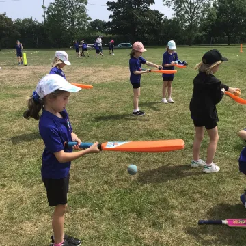 Cab86365-Ce60-43bc-Ae44-3398ced39e5f