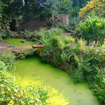 Acton Scott Hall 2