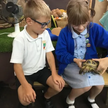 Tortoise