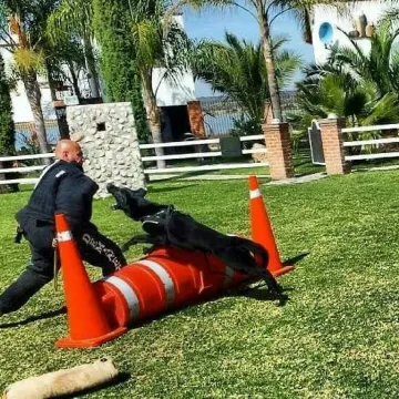 Whatsapp Image 2025-08-06 At 1