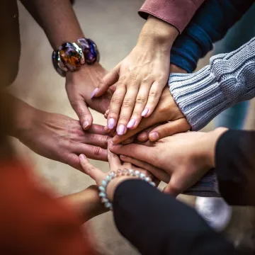Team, friendship, group, hands, cooperation, people, community, connection, relationship, friendship day, team, team, team, team, team, friendship, friendship, community, community, community, relationship