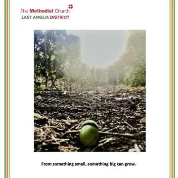 Grapevine Autumn 2025