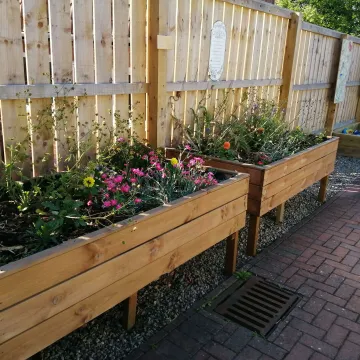 Willington Gold award 3