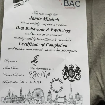 Whatsapp Image 2025-09-21 At 12