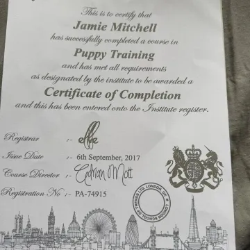 Whatsapp Image 2025-09-21 At 12