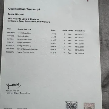 Whatsapp Image 2025-09-21 At 12